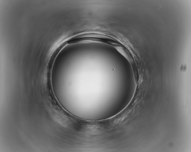 X0000091300344200708101312