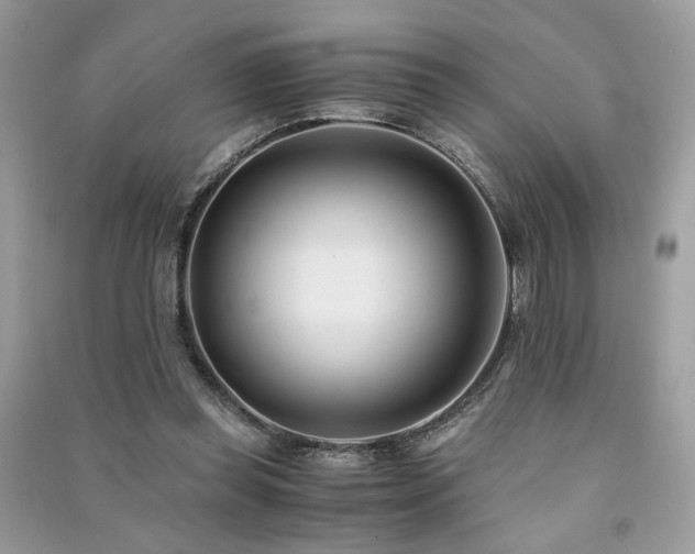 X0000091300349200708101313