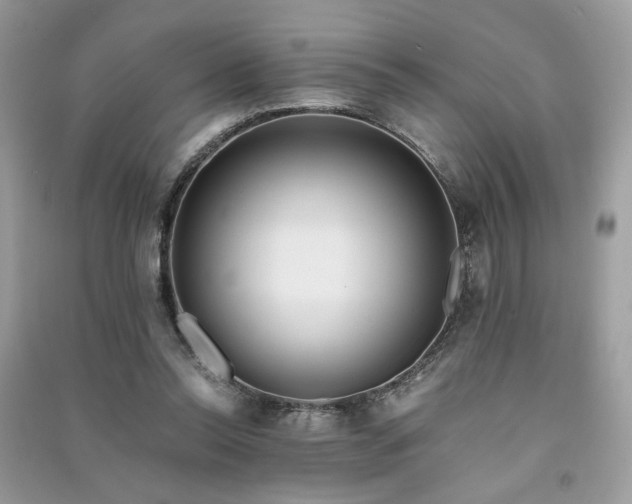 X0000091300350200708101313