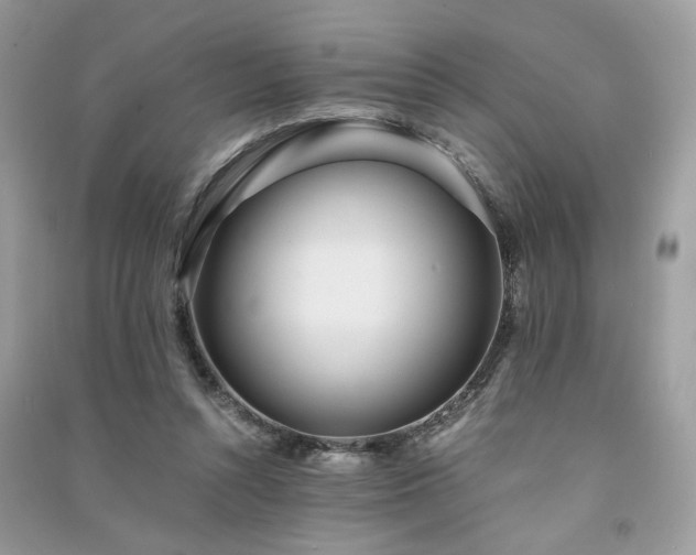 X0000091300352200708101313