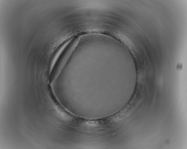 X0000091300353200708101313