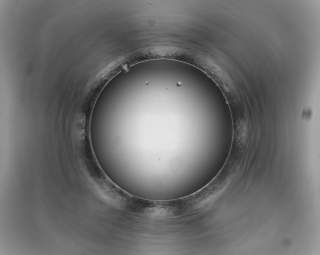 X0000091300356200708101313