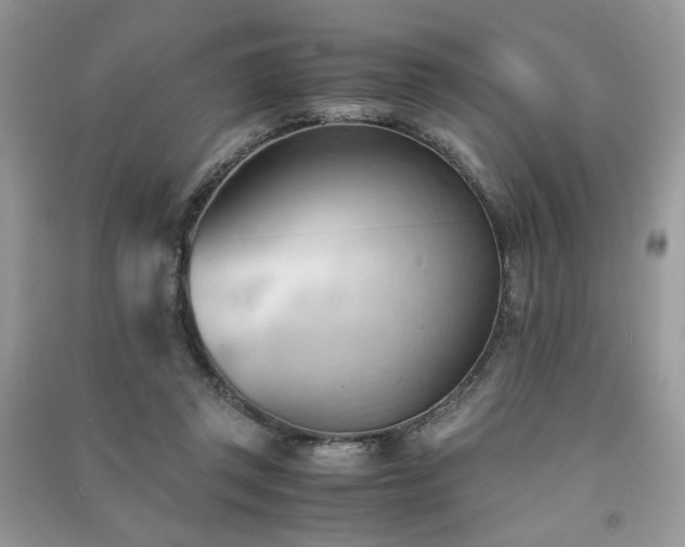 X0000091300357200708101313