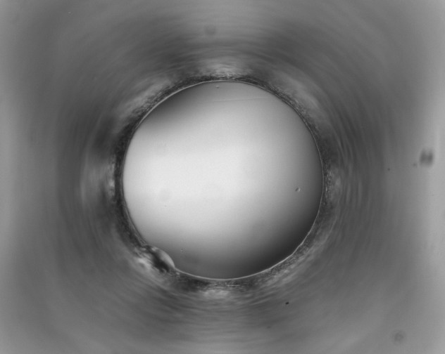 X0000091300358200708101313