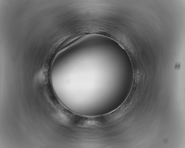 X0000091300360200708101313