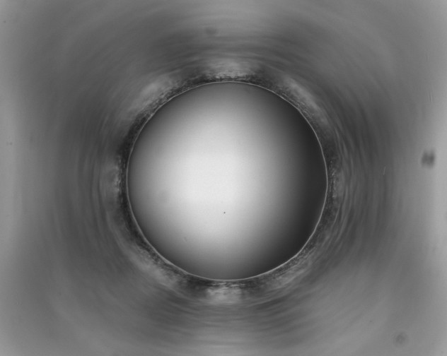 X0000091300362200708101313