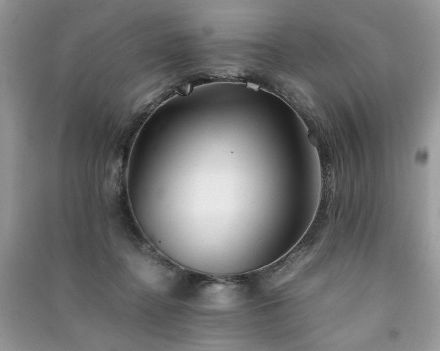 X0000091300364200708101313