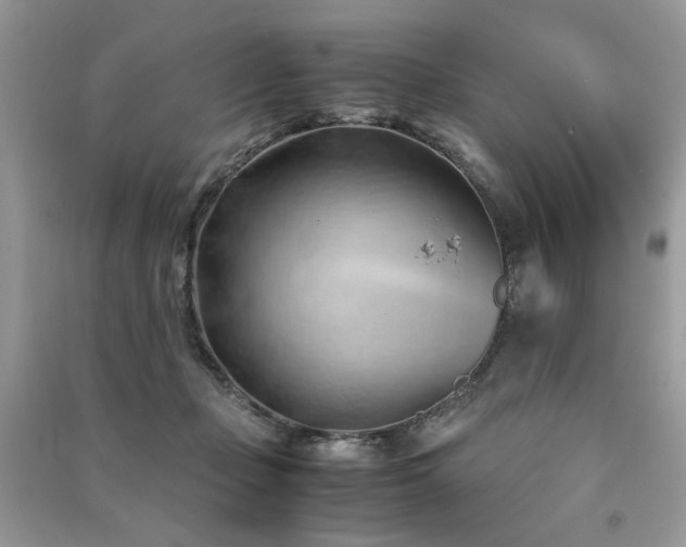 X0000091300365200708101313