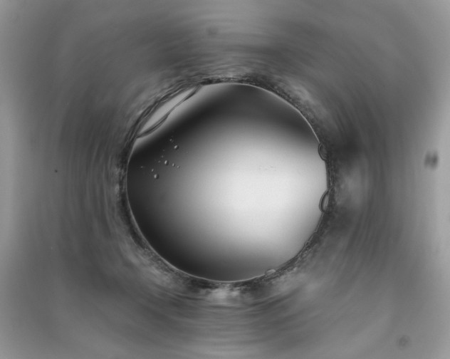 X0000091300366200708101313