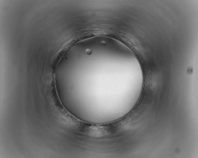 X0000091300367200708101313