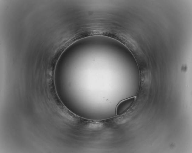 X0000091300369200708101313