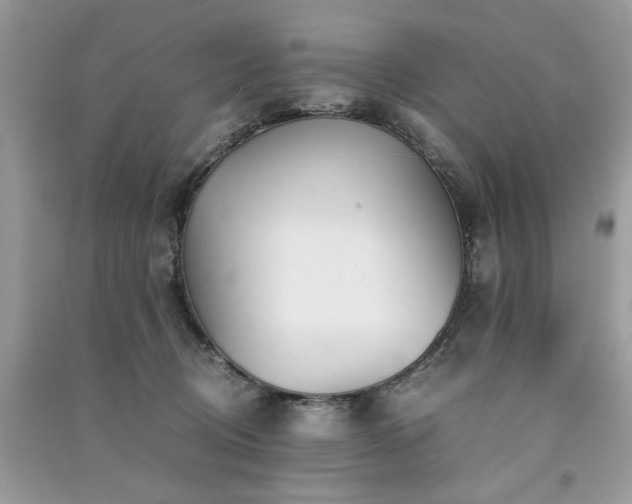 X0000091300370200708101313