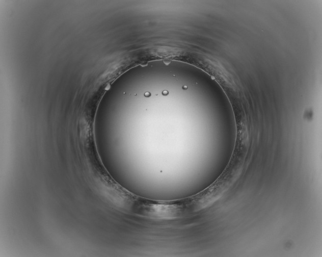 X0000091300371200708101313