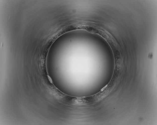 X0000091300372200708101313