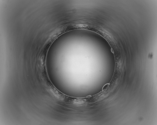 X0000091300373200708101313