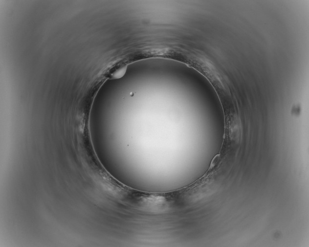 X0000091300374200708101313