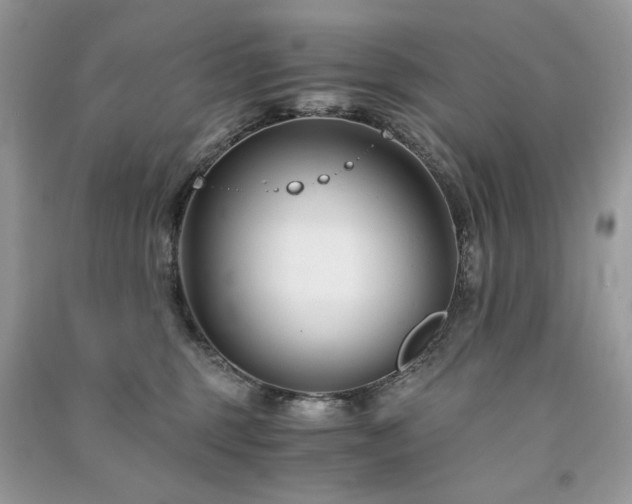 X0000091300375200708101313