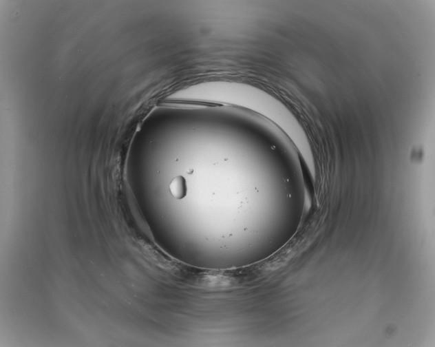 X0000091300376200708101313