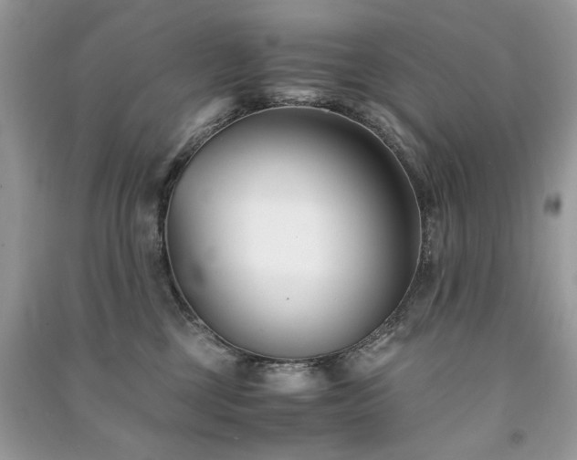 X0000091300377200708101313