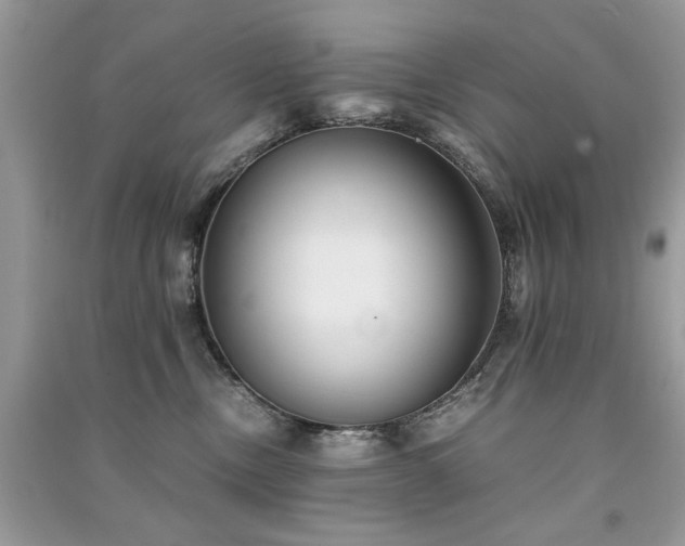 X0000091300378200708101313