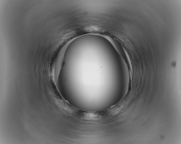 X0000091300380200708101313