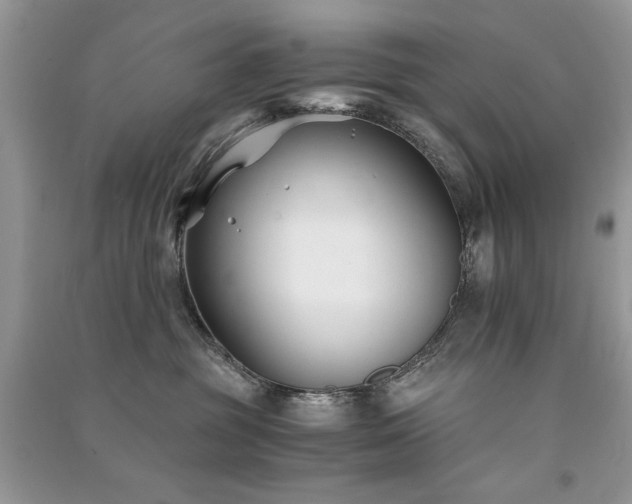 X0000091300381200708101313