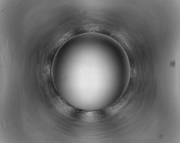 X0000091300382200708101313