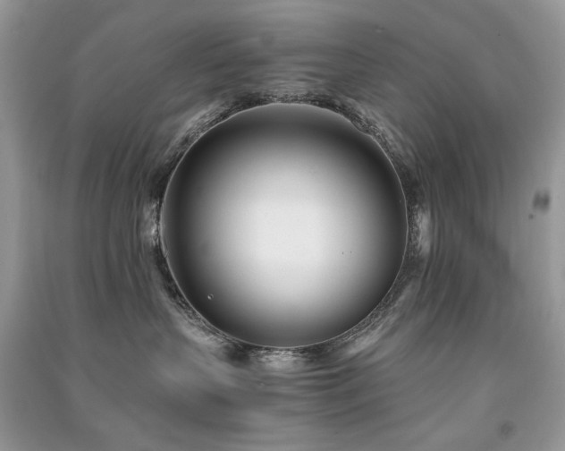 X0000091300383200708101313