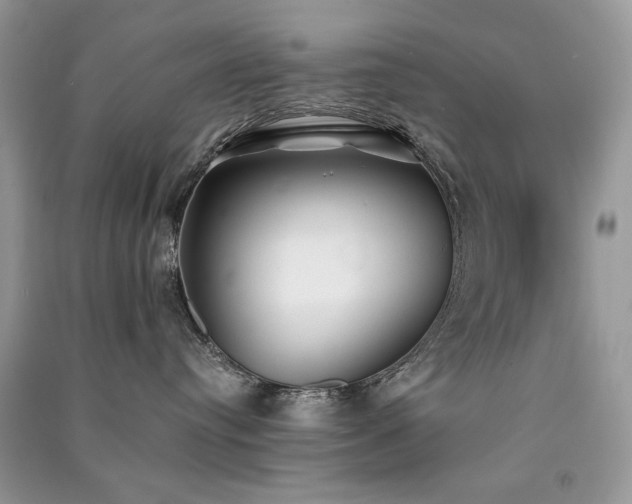 X0000091300384200708101313