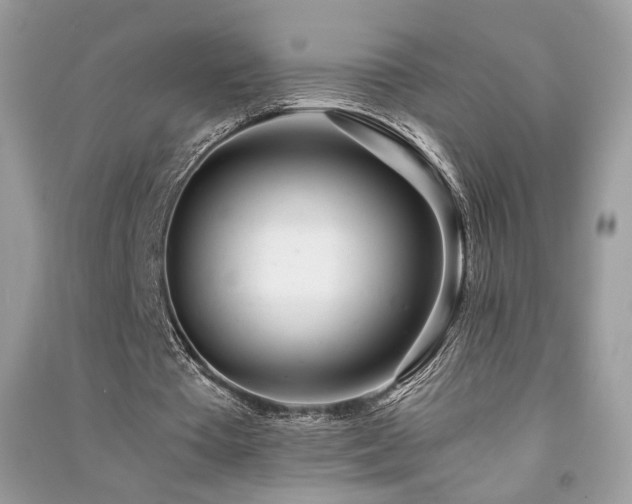 X0000091300385200708101312