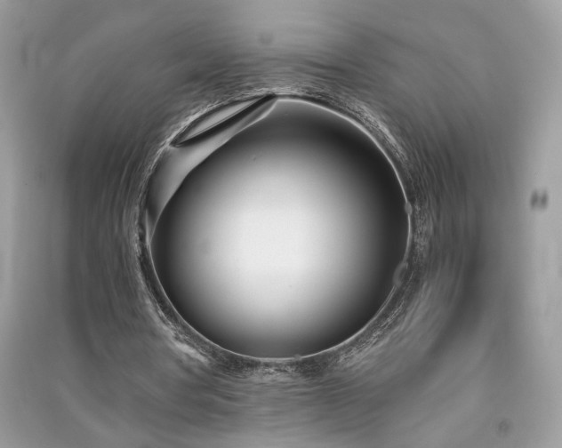 X0000091300386200708101312