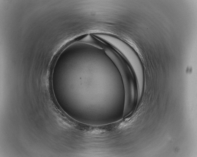 X0000091300387200708101312