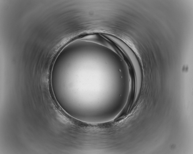 X0000091300389200708101312