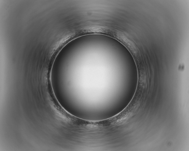 X0000091300394200708101312