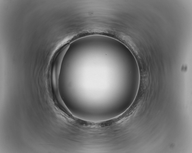 X0000091300395200708101312