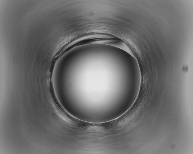 X0000091300397200708101312