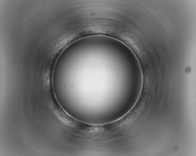 X0000091300398200708101312