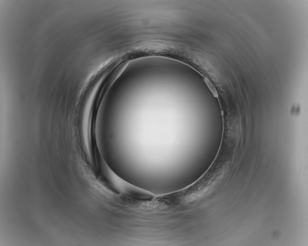 X0000091300399200708101312