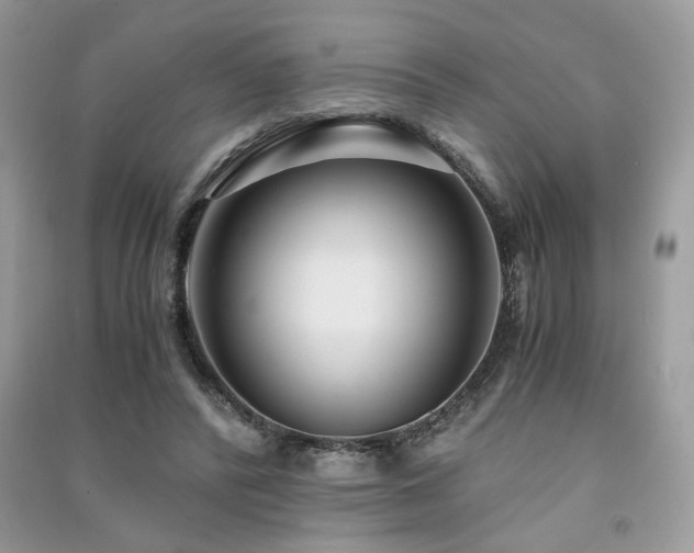 X0000091300400200708101312