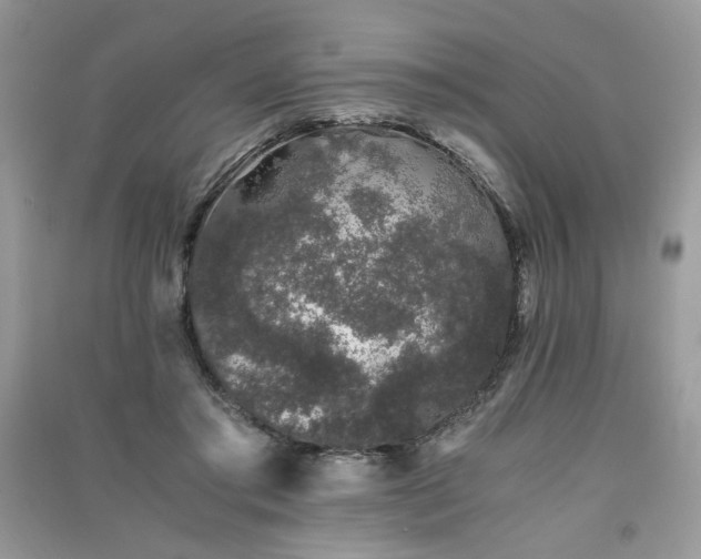 X0000091300405200708101312