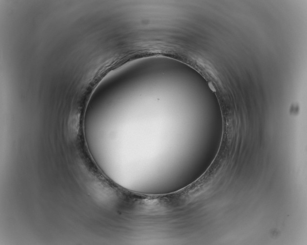 X0000091300406200708101312