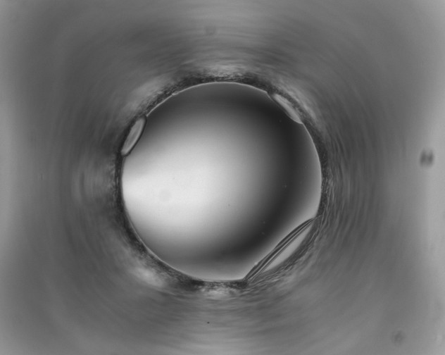 X0000091300407200708101312