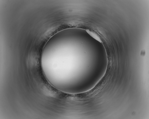 X0000091300408200708101312