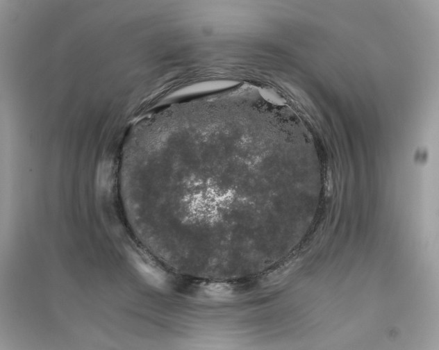 X0000091300409200708101312