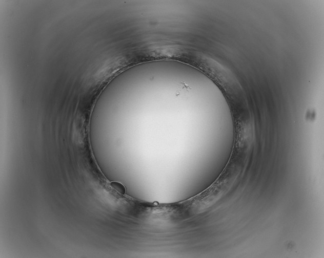 X0000091300414200708101312