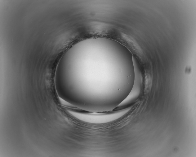 X0000091300416200708101312