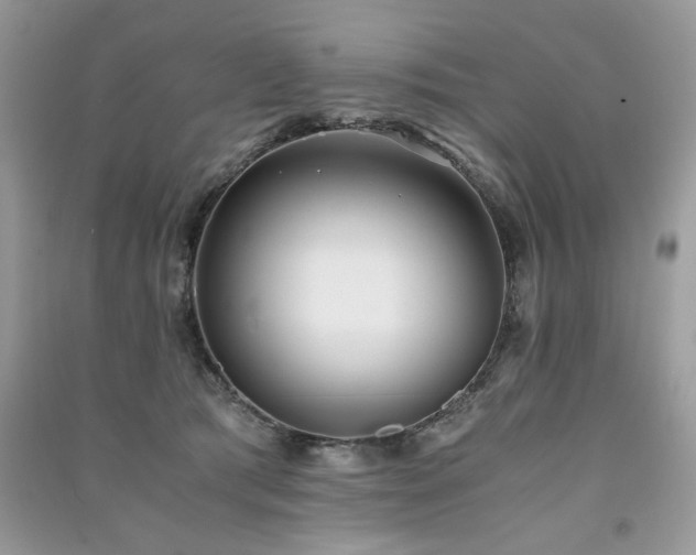 X0000091300417200708101312