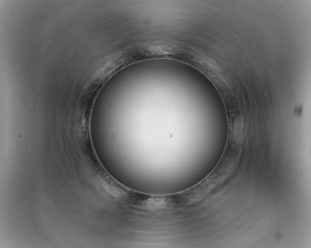 X0000091300418200708101312