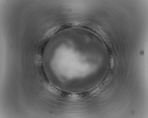 X0000091300419200708101312