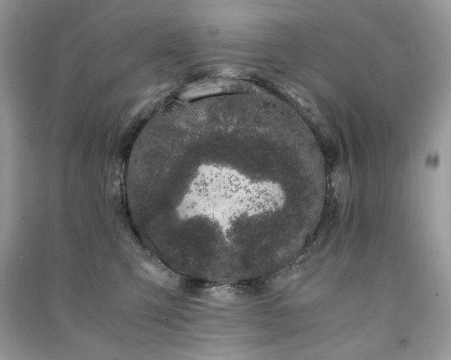 X0000091300423200708101312